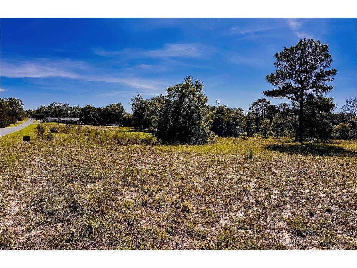 Indian Trail Road Weeki Wachee FL 34613 T3535888 image9