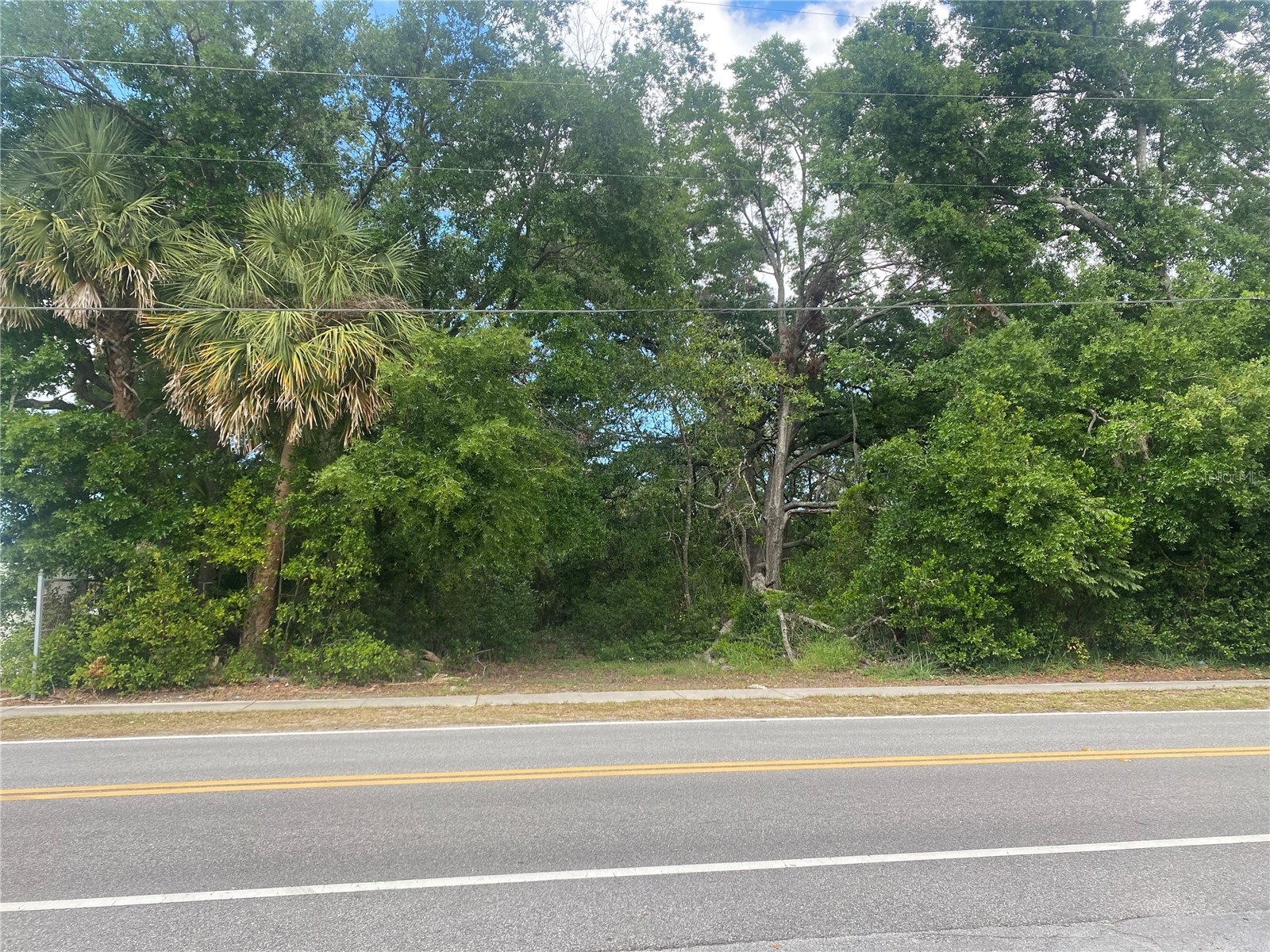 Indiana Avenue New Port Richey FL 34653 TB8464283 image3