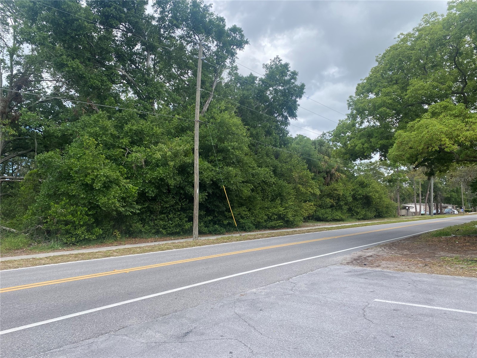 Indiana Avenue New Port Richey FL 34653 TB8464283 image4