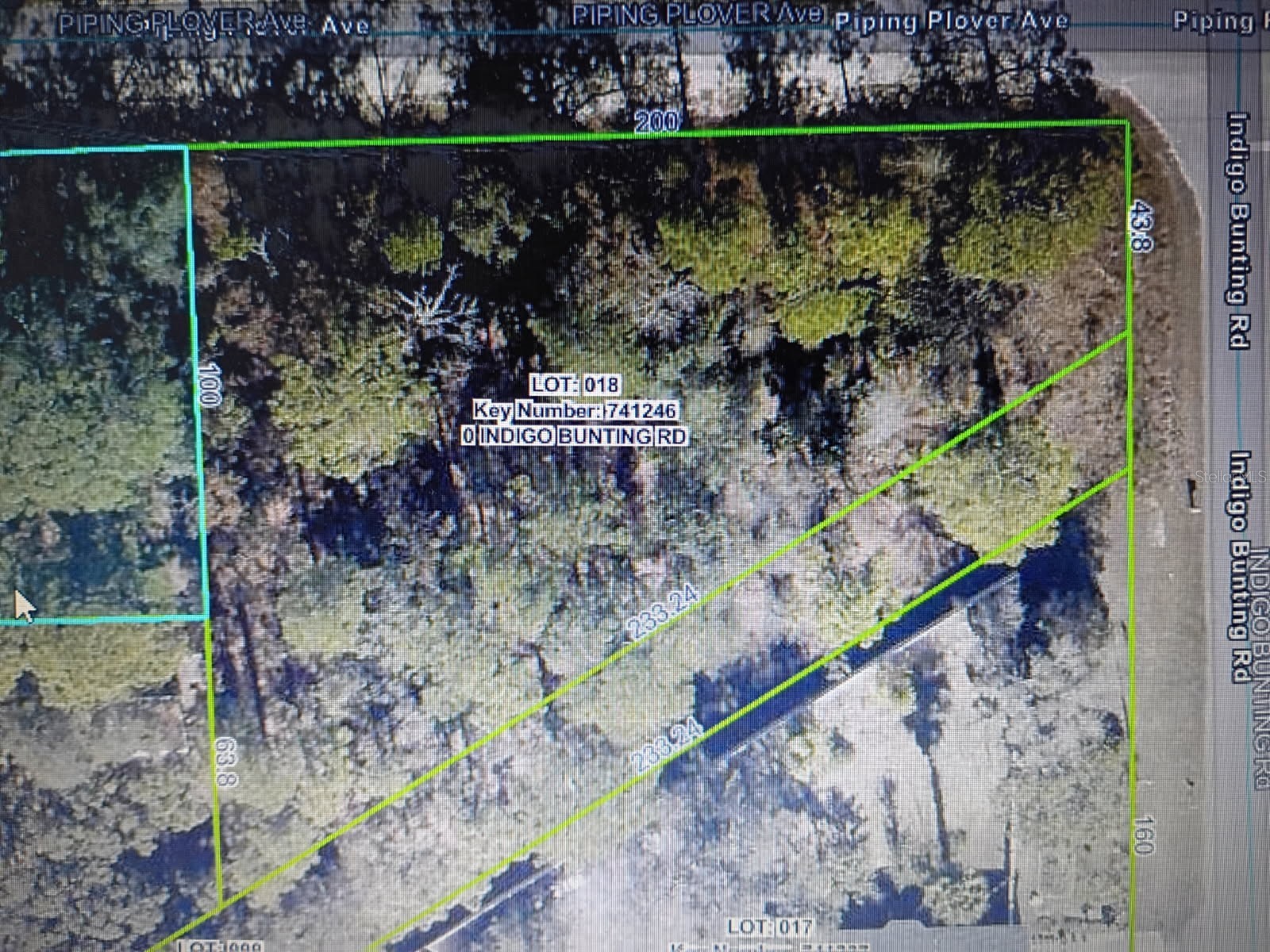 12449 Indigo Bunting Weeki Wachee FL 34614 TB8471305 image1