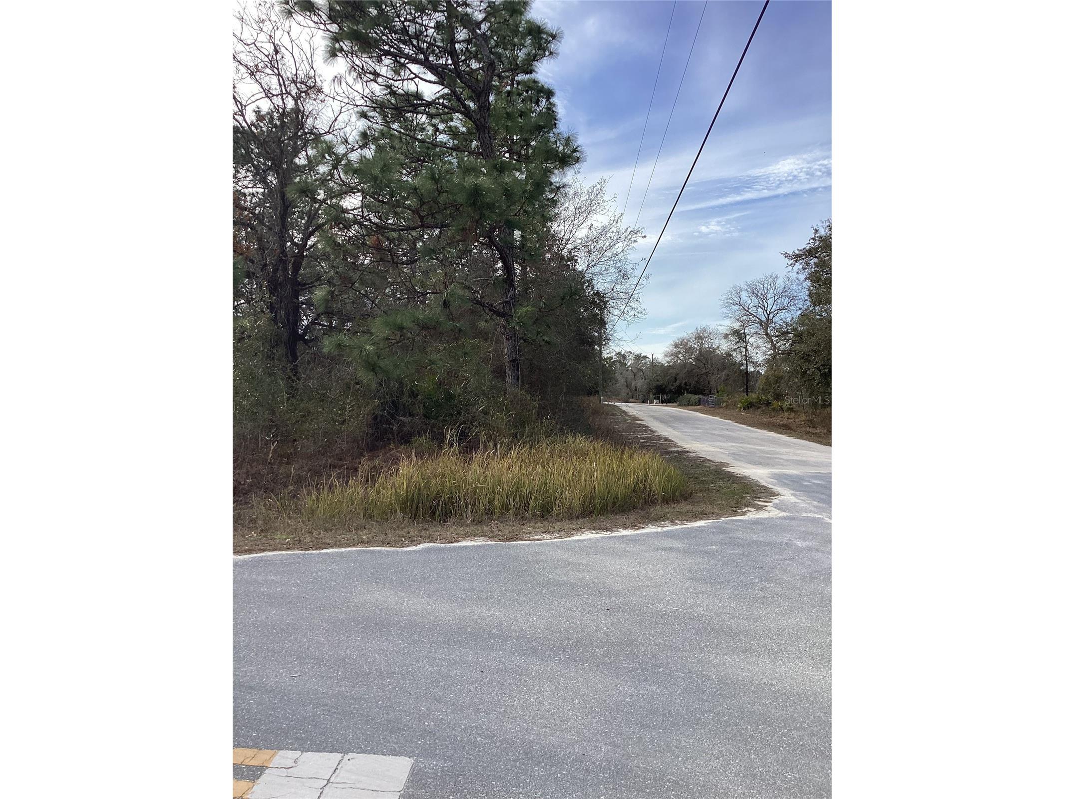 12449 Indigo Bunting Weeki Wachee FL 34614 TB8471305 image2