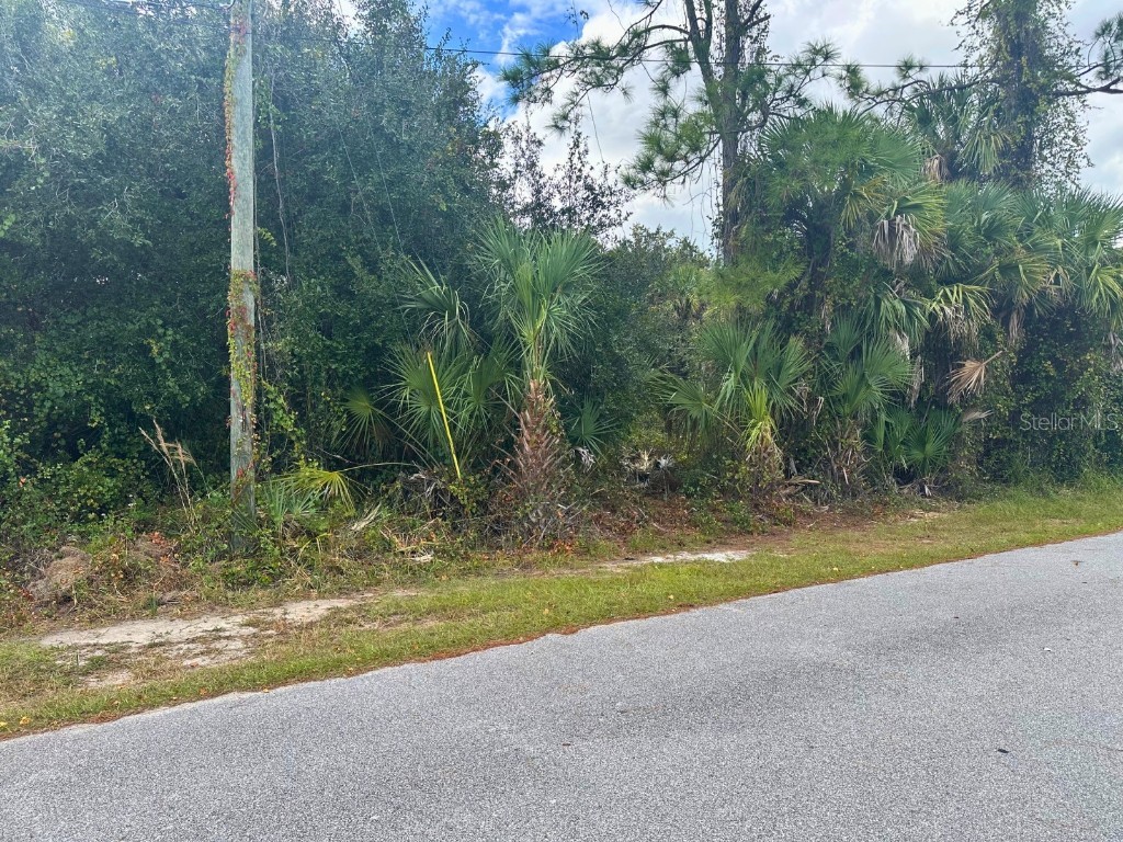 Indio Street North Port FL 34288 C7517097 image4