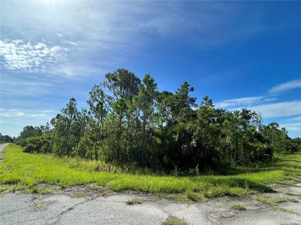 Inkwood Drive North Port FL 34288 U8206433 image1