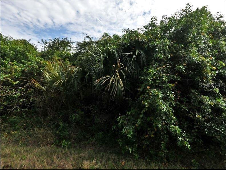 Inkwood Drive North Port FL 34288 O6231383 image2