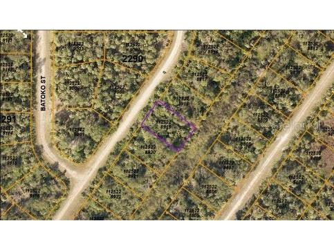 Inkwood Drive North Port FL 34288 O6231383 image3