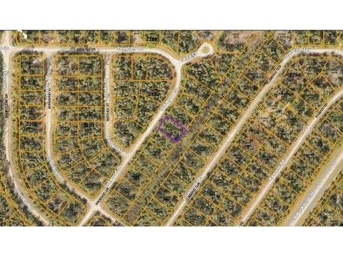 Inkwood Drive North Port FL 34288 O6231383 image4