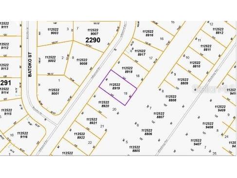 Inkwood Drive North Port FL 34288 O6231383 image5