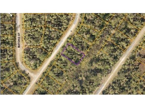 Inkwood Drive North Port FL 34288 O6231383 image6