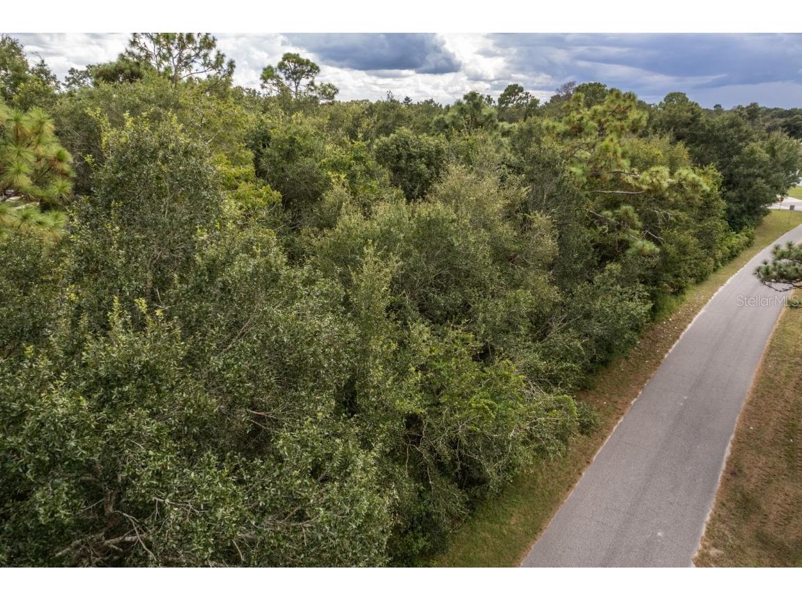 Interlachen Drive Mount Plymouth FL 32776 G5102863 image1