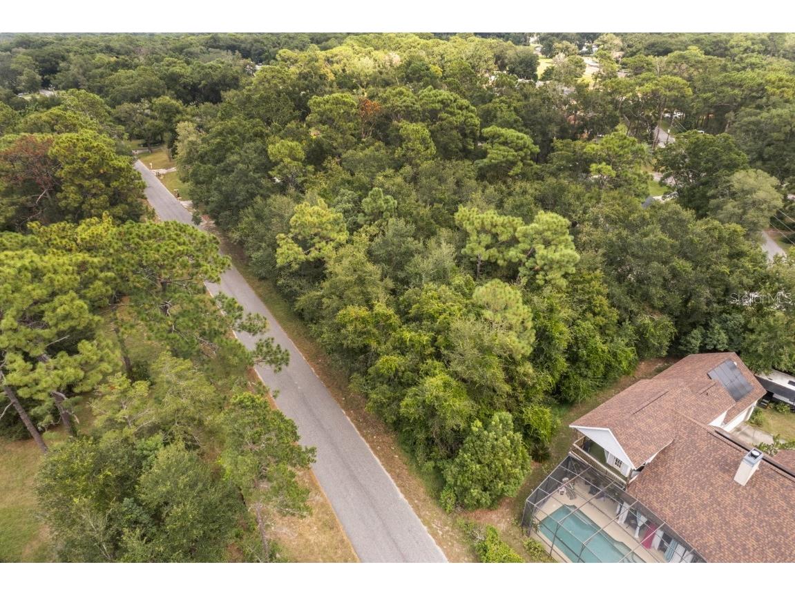 Interlachen Drive Mount Plymouth FL 32776 G5102863 image11