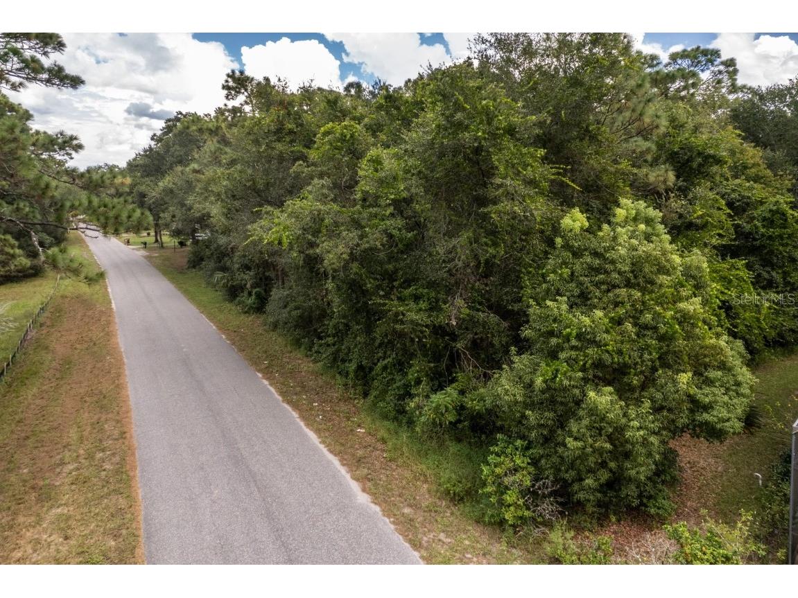 Interlachen Drive Mount Plymouth FL 32776 G5102863 image13