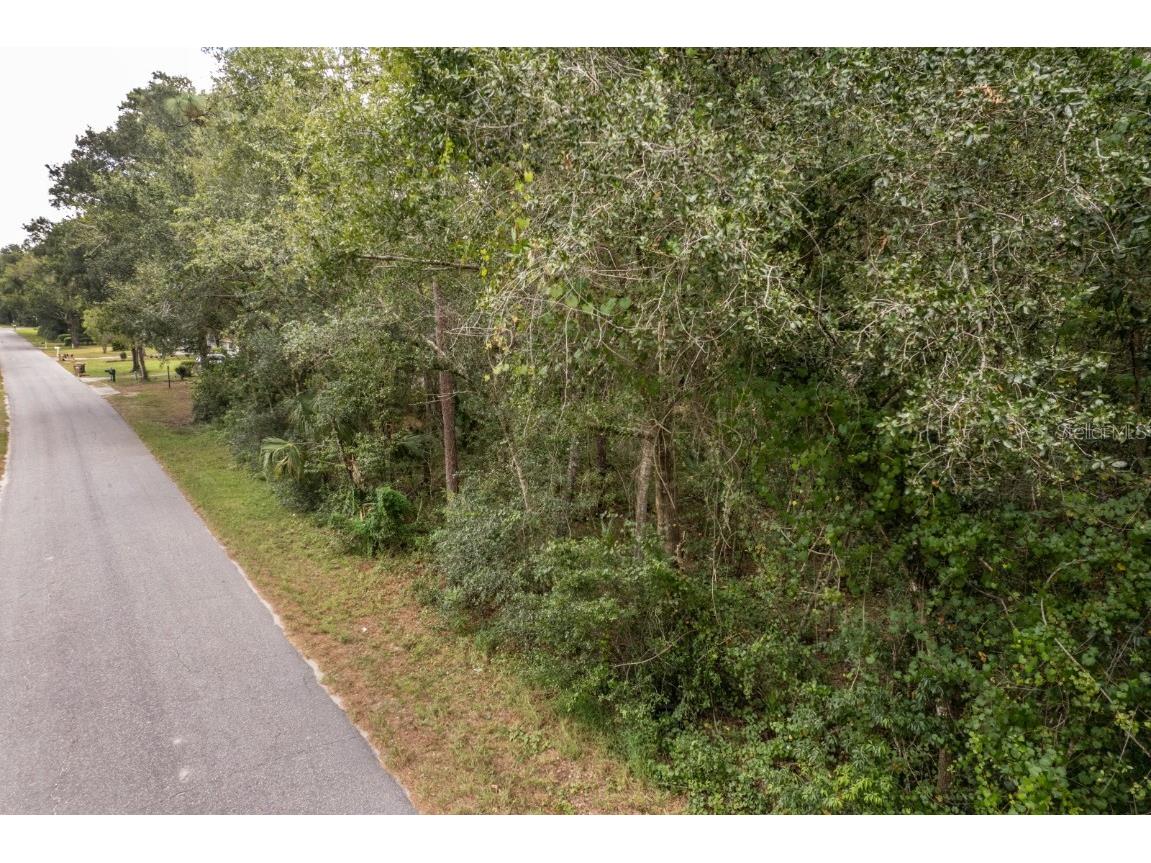 Interlachen Drive Mount Plymouth FL 32776 G5102863 image14