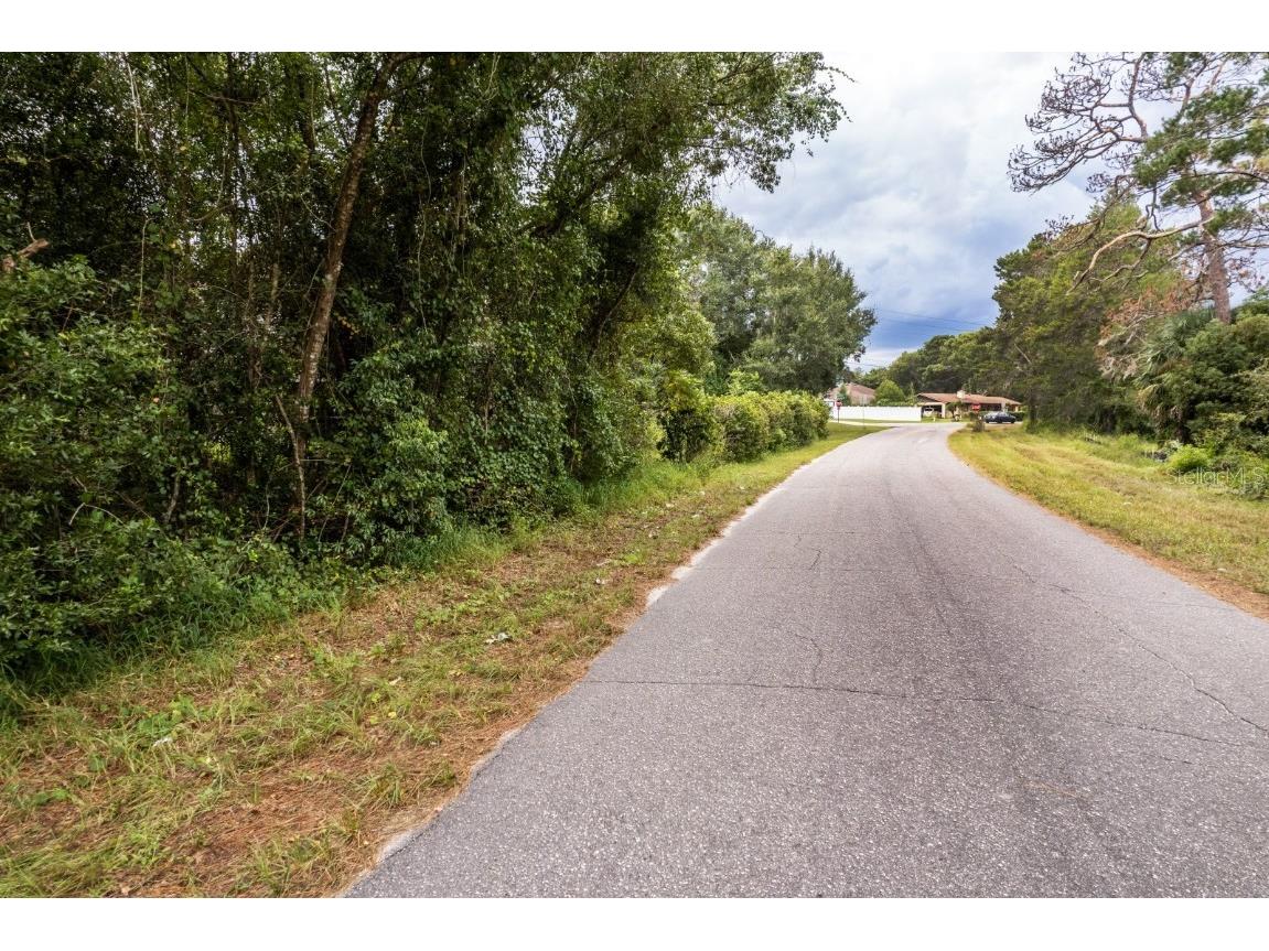 Interlachen Drive Mount Plymouth FL 32776 G5102863 image15