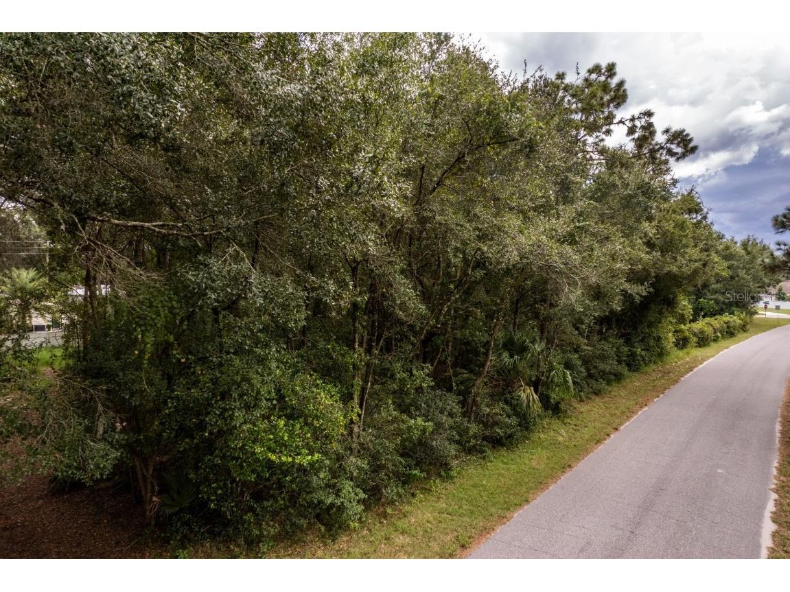 Interlachen Drive Mount Plymouth FL 32776 G5102863 image2