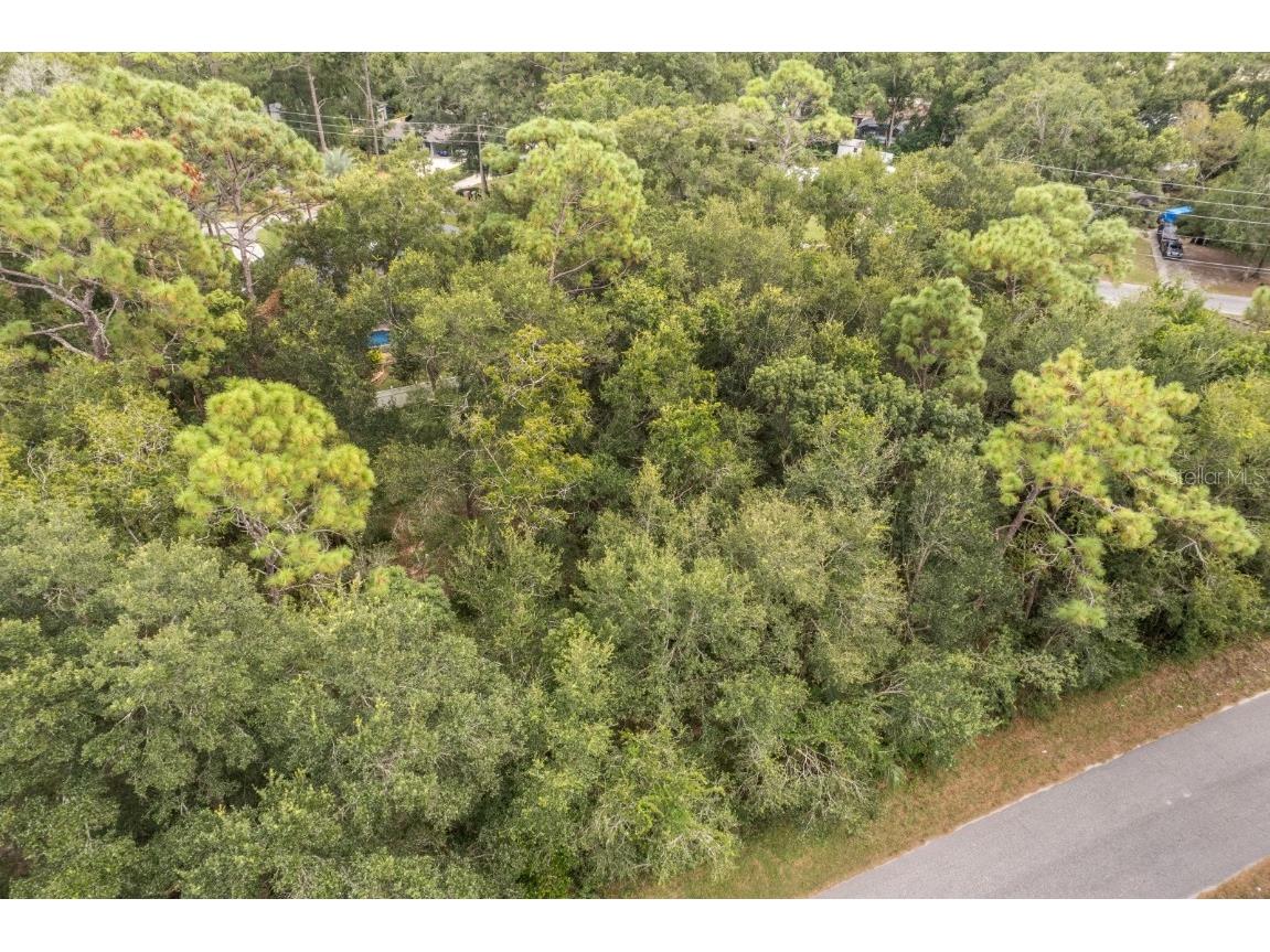 Interlachen Drive Mount Plymouth FL 32776 G5102863 image4