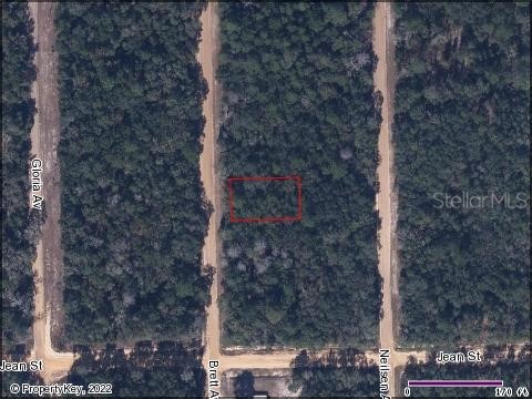 Interlachen Lake Estates Palatka FL 32178 S5071642 image1