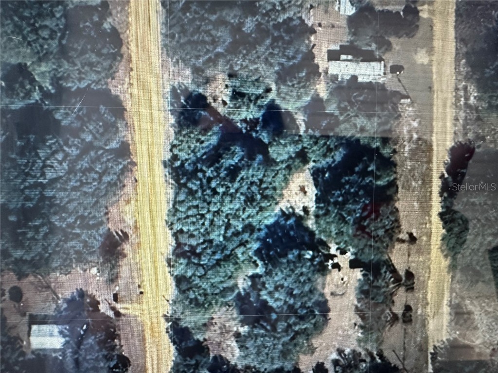 Interlachen Lakes Estates Palatka FL 32178 S5120186 image1