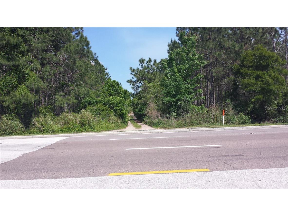 International Drive Orlando FL 32821 O5440334 image8