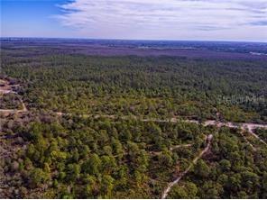 International Drive Orlando FL 32821 O5926590 image2