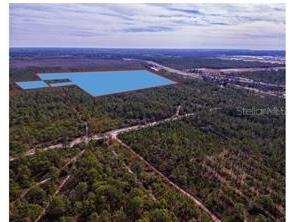 International Drive Orlando FL 32821 O5932682 image1