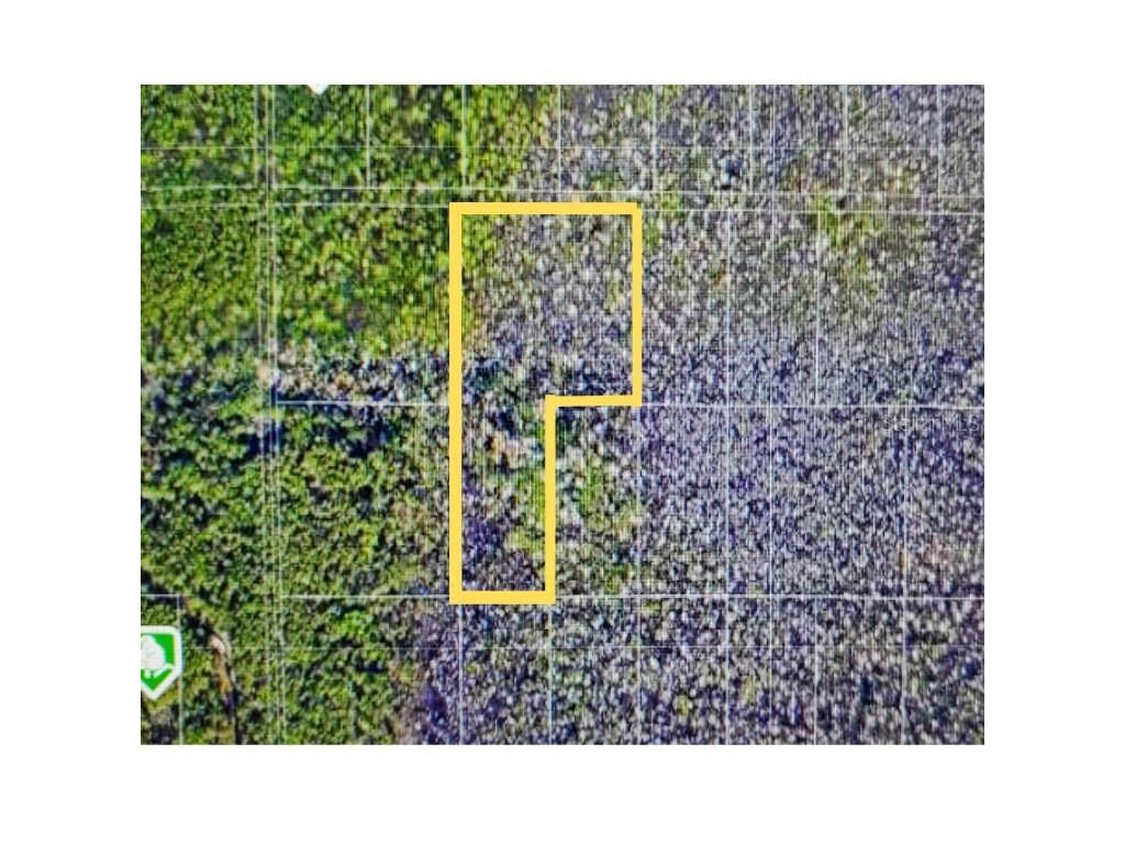 International Drive Orlando FL 32821 O6099213 image1