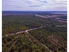 International Drive Orlando FL 32821 O5978939 image9