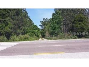 International Drive Orlando FL 32821 O5979471 image9