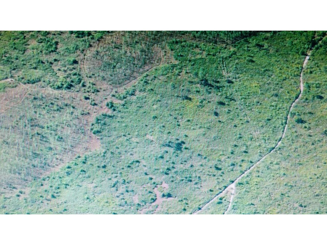 International Drive Orlando FL 32821 O6084635 image1