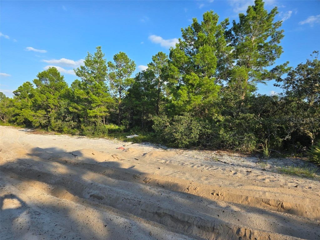 International Drive Orlando FL 32821 O6339637 image5