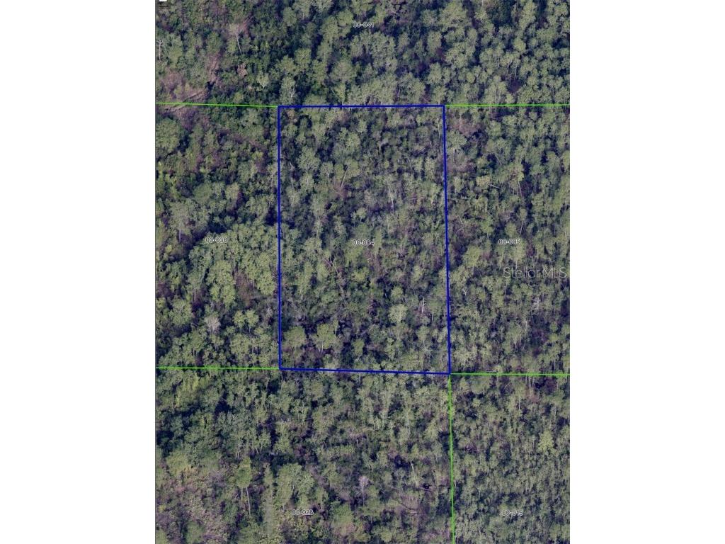 International Drive Orlando FL 32821 O6339637 image6