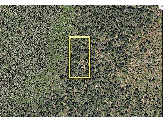 International Drive S Orlando FL 32821 O6233810 image3