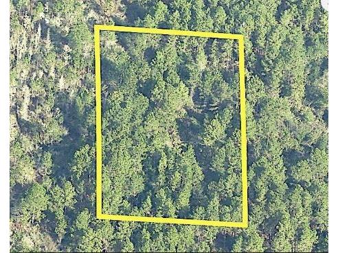 International Drive S Orlando FL 32821 O6233810 image4