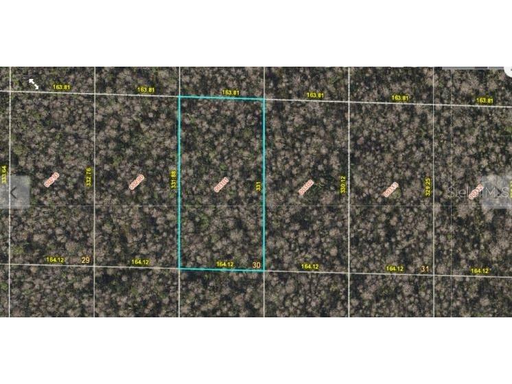 International Drive S Orlando FL 32821 O6233810 image8