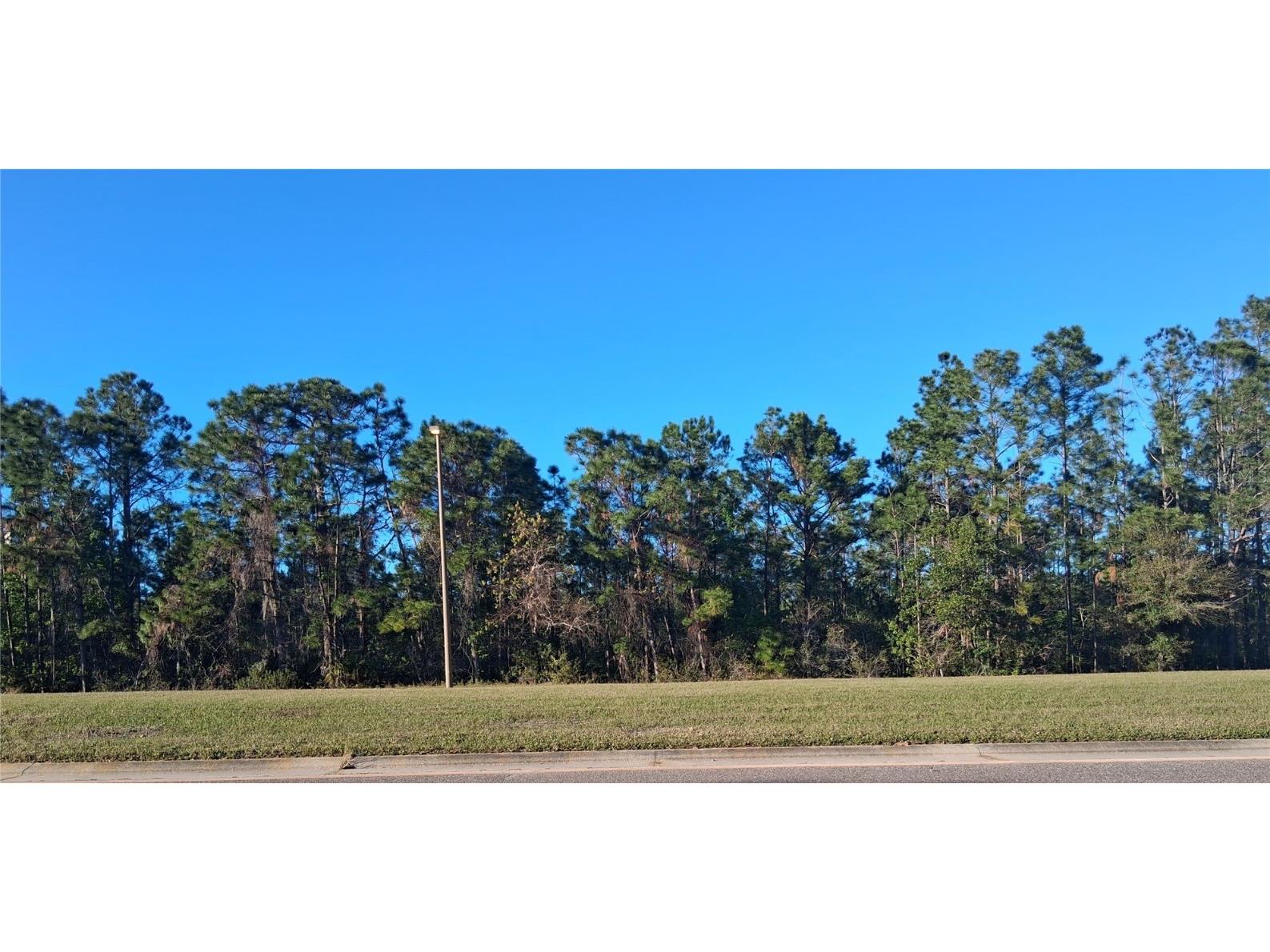 International Drive S Orlando FL 32821 S5121181 image1