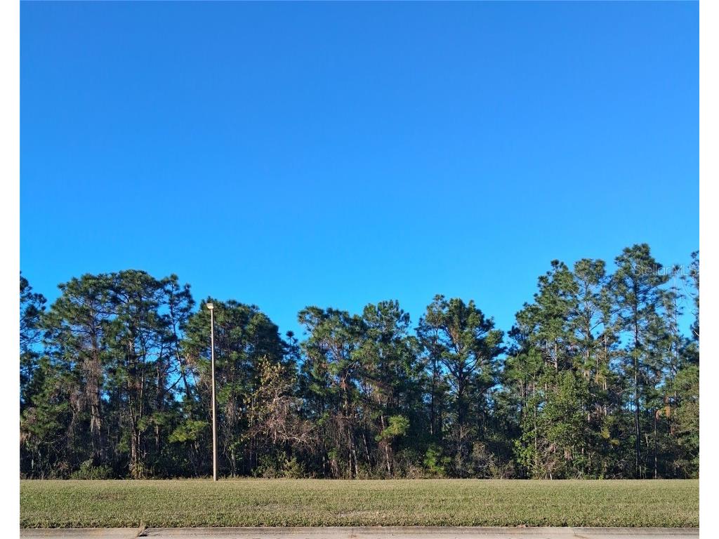 International Drive S Orlando FL 32821 S5121181 image2