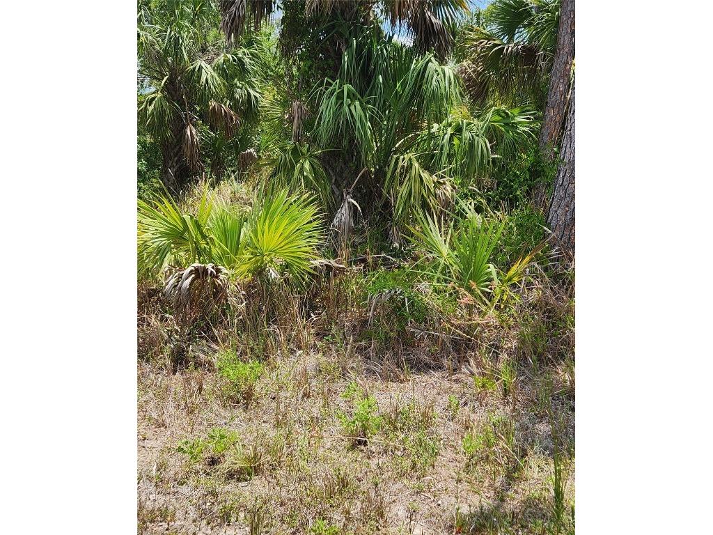 Inverness Street North Port FL 34288 C7500518 image2