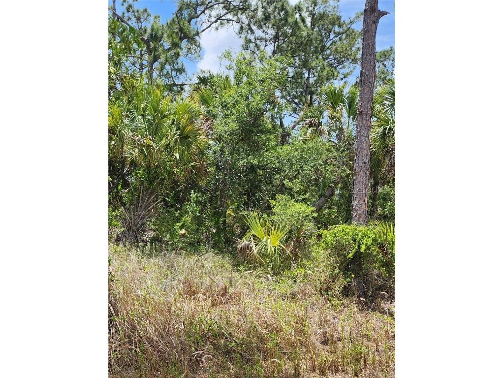 Inverness Street North Port FL 34288 C7500518 image3