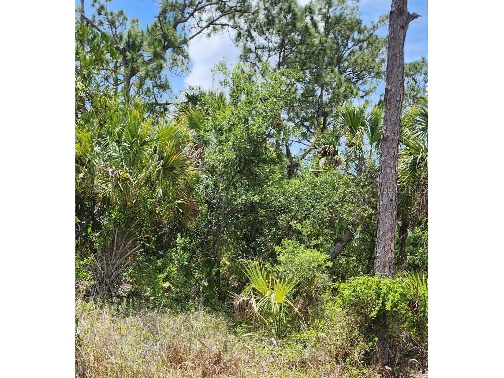 Inverness Street North Port FL 34288 C7500520 image3