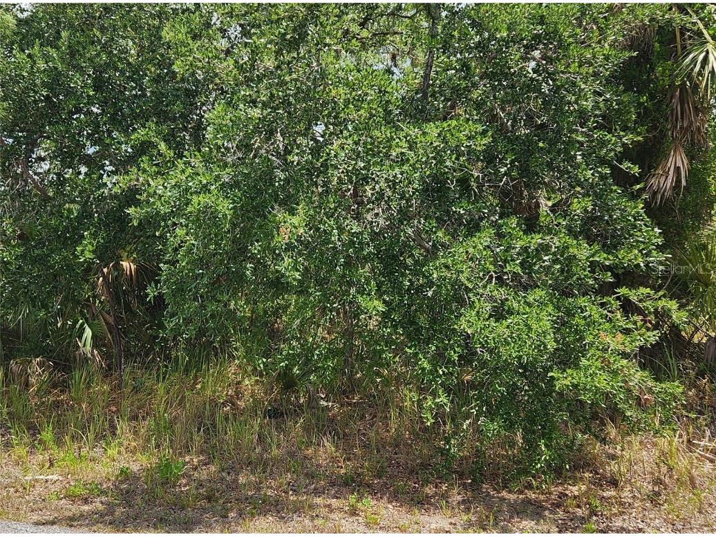 Inverness Street North Port FL 34288 C7500522 image3