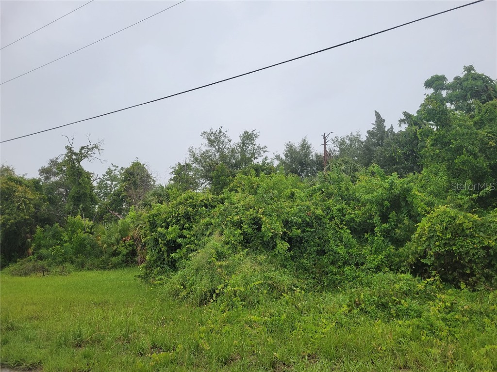 Inwood Hudson FL 34667 W7856357 image1