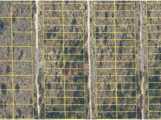 Iowa Avenue Hawthorne FL 32640 O6277610 image1