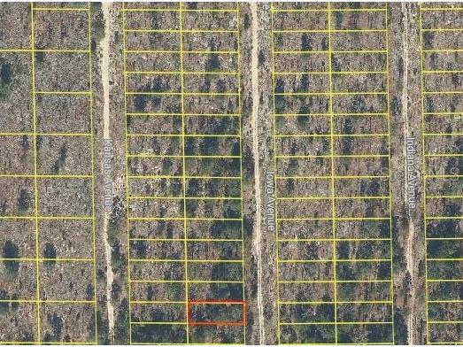 Iowa Avenue Hawthorne FL 32640 O6277670 image1