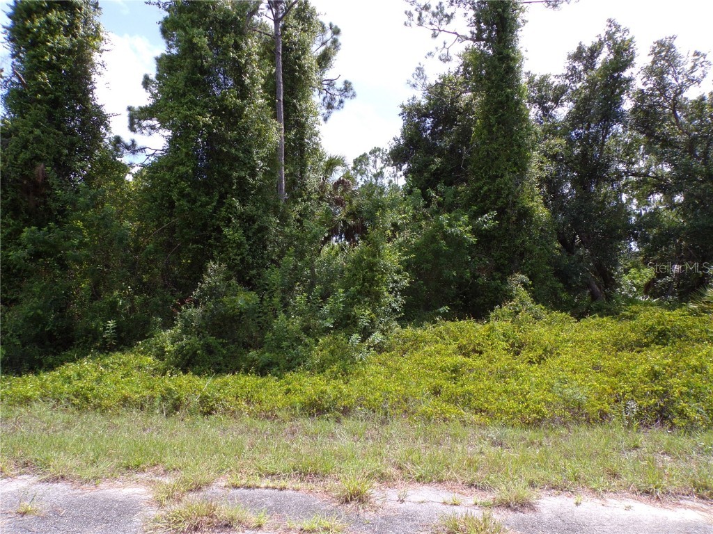 Ironside Street North Port FL 34288 C7512167 image3
