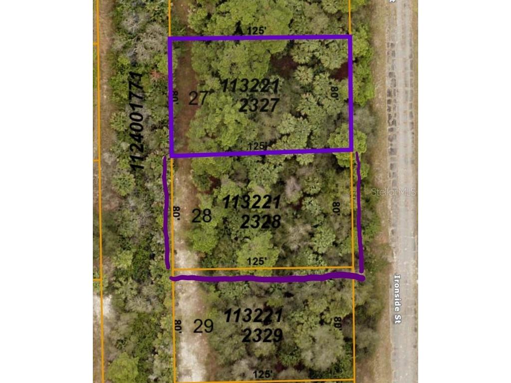 Ironside Street North Port FL 34288 D6142035 image1