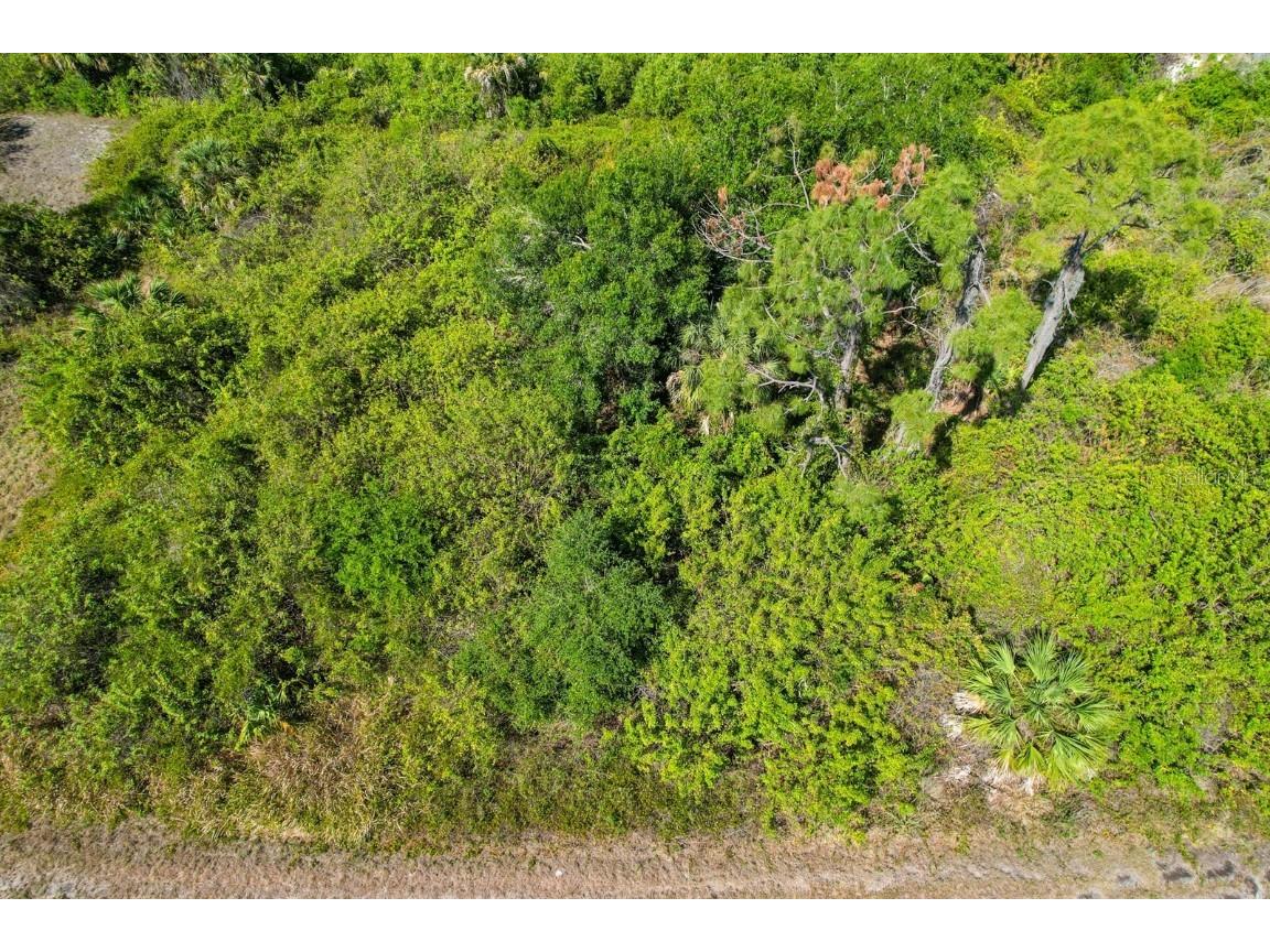 Ironside Street North Port FL 34288 N6138764 image1