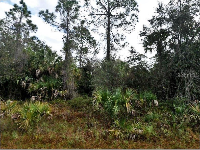 Ironside Street North Port FL 34288 O6231384 image2