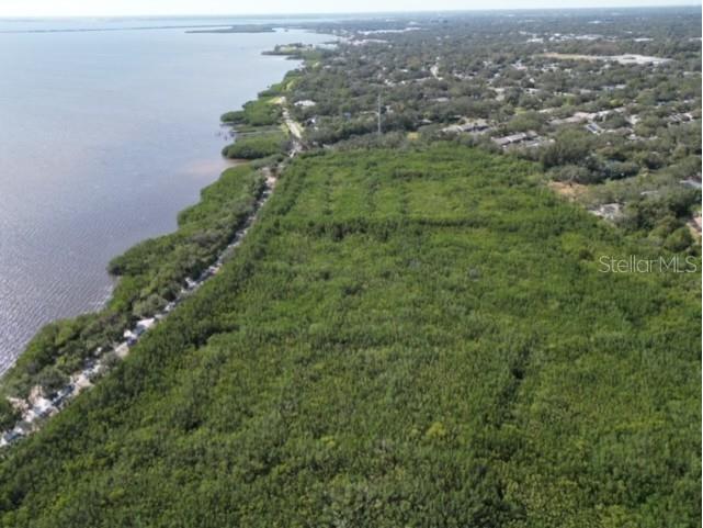 Irwin Street Safety Harbor FL 34695 TB8496031 image10
