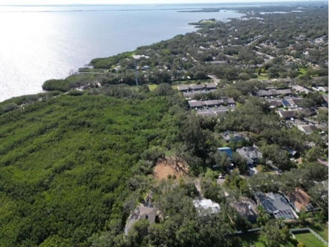 Irwin Street Safety Harbor FL 34695 TB8496031 image11
