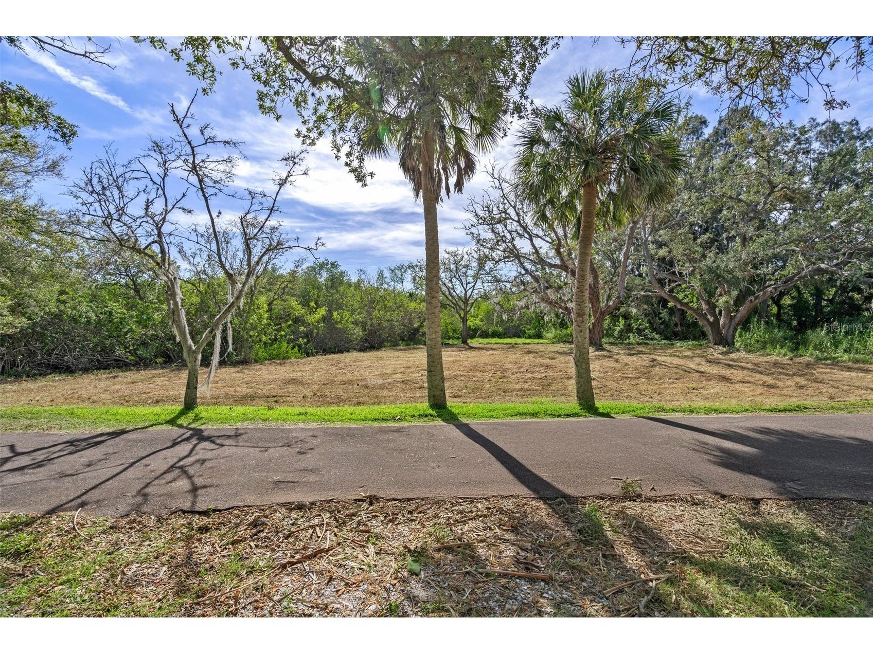 Irwin Street Safety Harbor FL 34695 TB8496031 image4