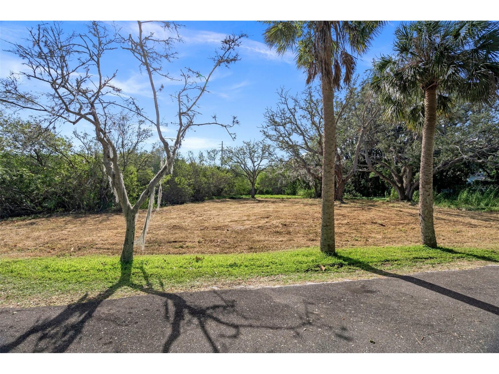 Irwin Street Safety Harbor FL 34695 TB8496031 image5